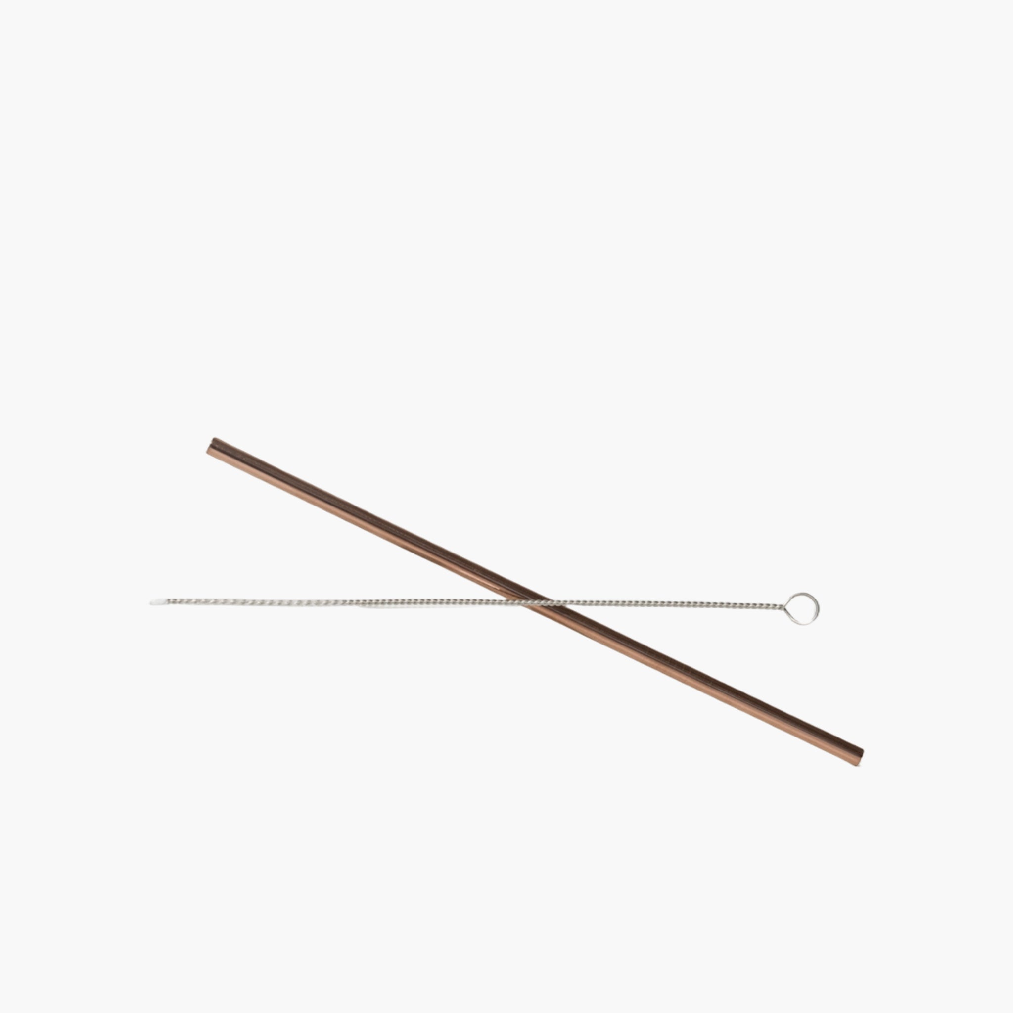 Metallic straw with cleaning brush on a white background